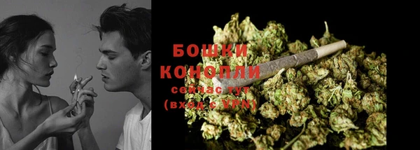 твердый Касимов