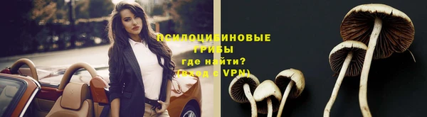 твердый Касимов