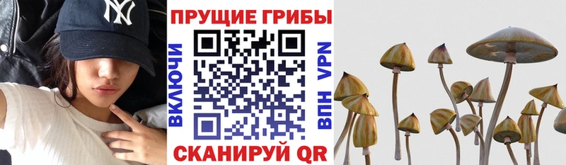 Псилоцибиновые грибы Magic Shrooms  Купить где  Учалы 